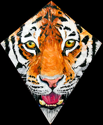 Another Tiger Kite