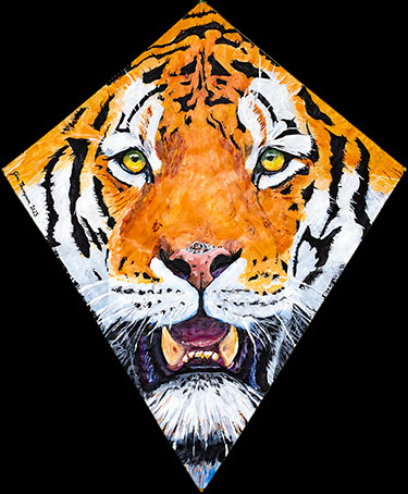 Tiger Kite 2023